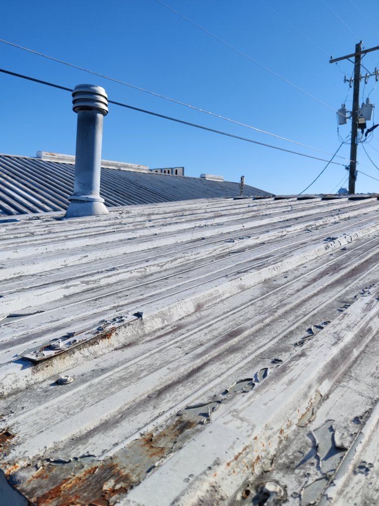 Slide of Baseline Coatings