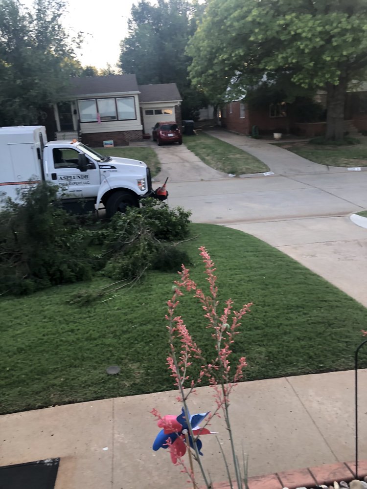 ASPLUNDH TREE EXPERT COMPANY Updated May 2024 2930 NE 71st St