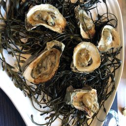 Oysters