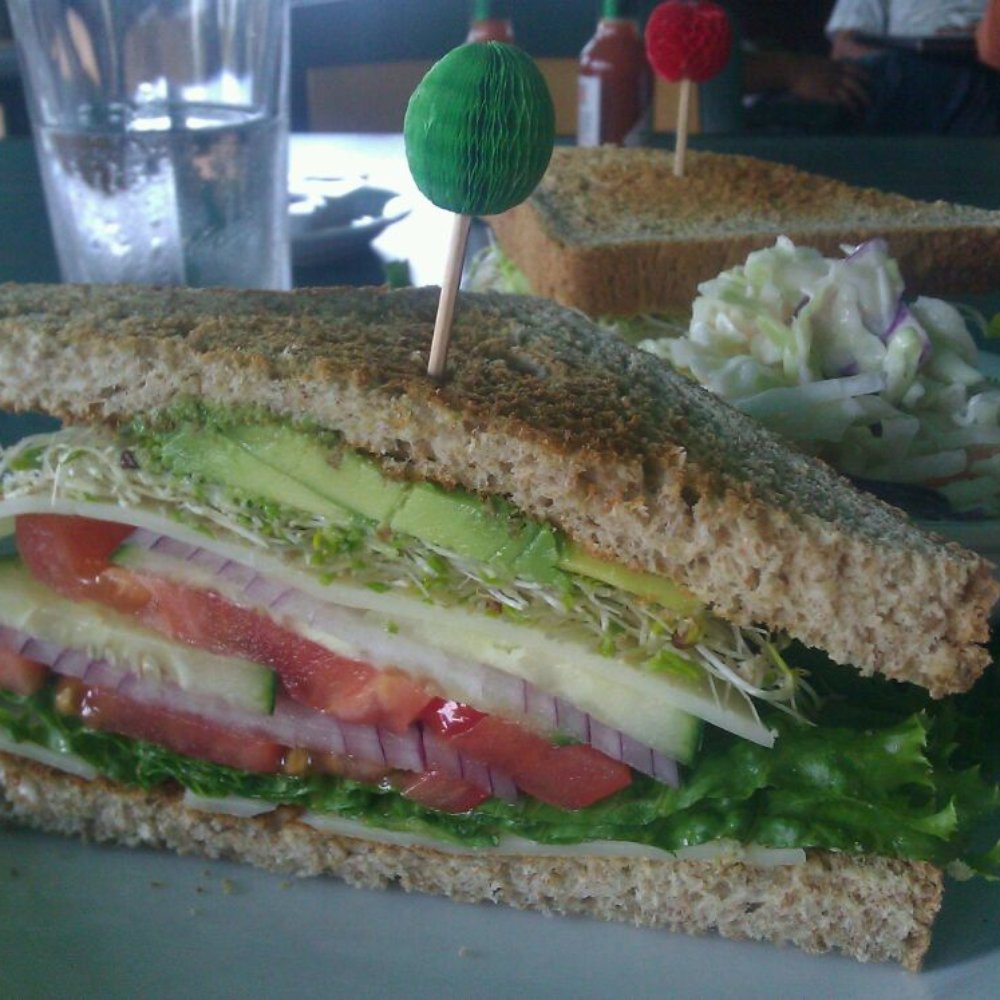 Kaffe Mocha & Grill - Oslo vegetarian sandwich w/ coleslaw ($8). Yum! - Coffee & Tea Near Me - Santa Rosa, California Kaffe Mocha & Grill - Oslo vegetarian sandwich w/ coleslaw ($8). Yum! - Coffee & Tea Near Me - Santa Rosa, California