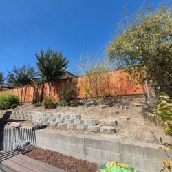 Tropical Landscape - New board on board fence