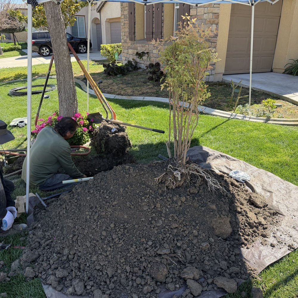 Practical Plumbing & Leak Detection - Plumbing Near Me - San Bernardino , California Practical Plumbing & Leak Detection - Plumbing Near Me - San Bernardino , California
