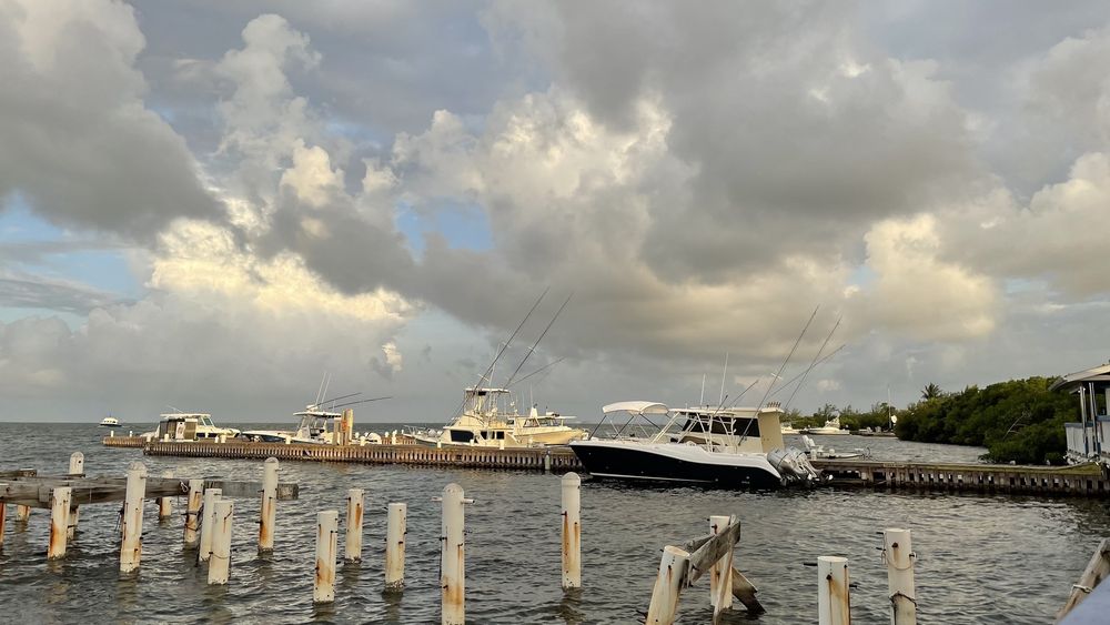 CALYPSO GRILL 10 Lane, United Kingdom Seafood Restaurant