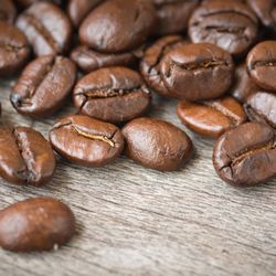 Seed 2 Cup Coffee - El Camino Coffee Roasters