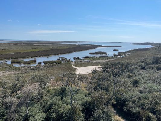 Aransas National Wildlife Refuge by null