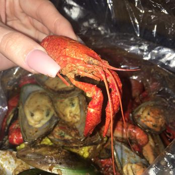 Tom's Crab Shack - Crawfish - Cajun/Creole Near Me - Concord, California Tom's Crab Shack - Crawfish - Cajun/Creole Near Me - Concord, California