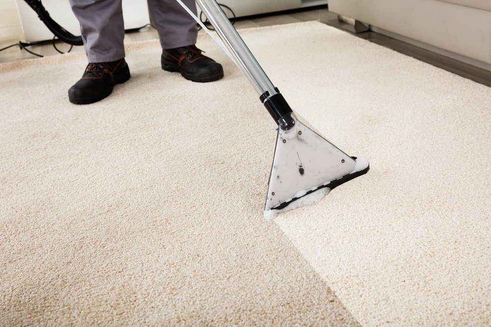 ROYAL CARPET CLEANING Updated June 2024 Milwaukee, Wisconsin