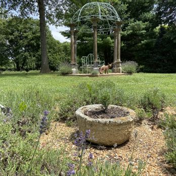 Blooming Hill Lavender Farm - a gazebo in the background - Gift Shops Near Me - Purcellville, Virginia