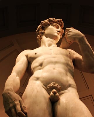 Galleria dell’Accademia di Firenze by null