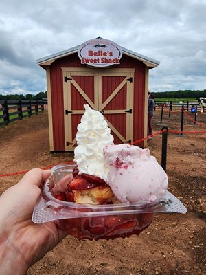 Southern Belle Farm by null