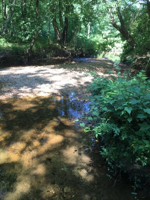 Foxstone Park by null