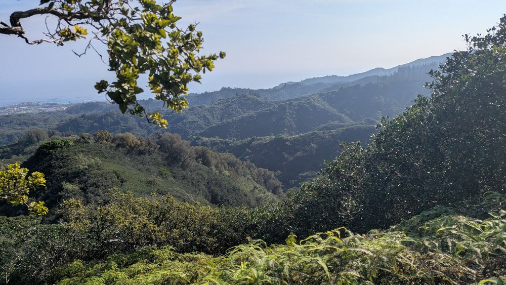 Social spots from Laie Falls