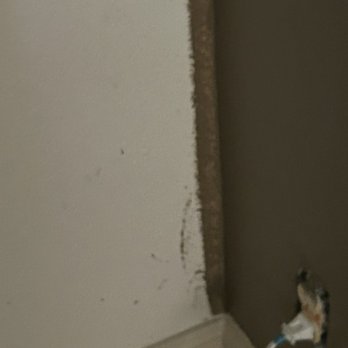 Level Up Home Solutions - Painters Near Me Level Up Home Solutions - Painters Near Me