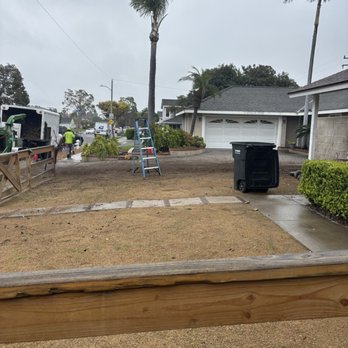 Amazon Arborists Authority - During - Tree Services Near Me - Santa Ana, California Amazon Arborists Authority - During - Tree Services Near Me - Santa Ana, California
