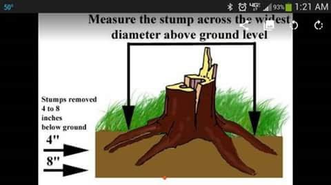 Stumps By Frank - tree service in Strongsville, OH