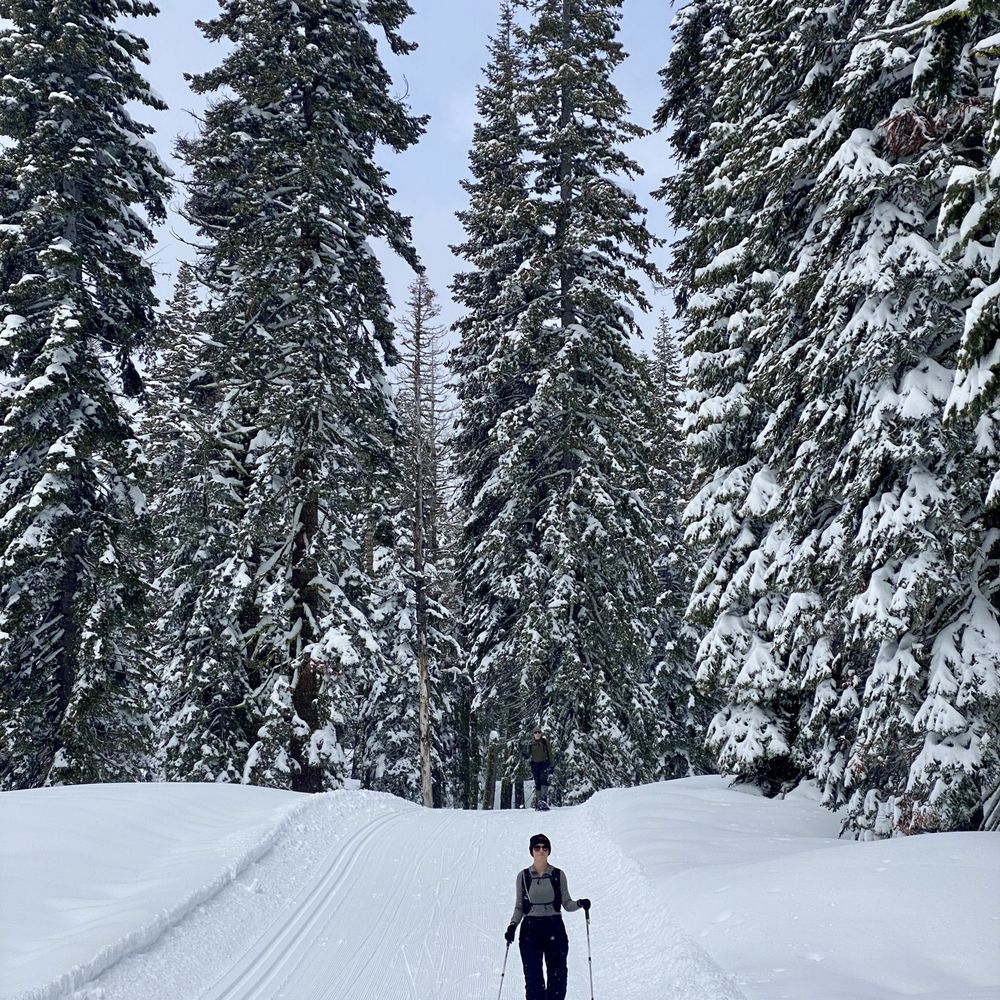 Bear Valley Adventure Company - Ski Resorts Near Me - Bear Valley, California Bear Valley Adventure Company - Ski Resorts Near Me - Bear Valley, California