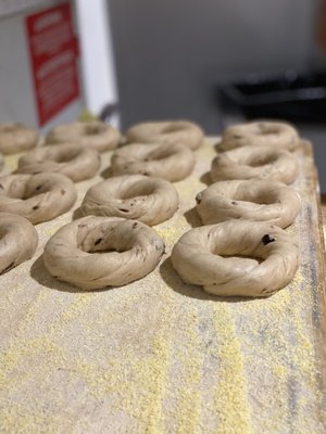 Village Bagel by null