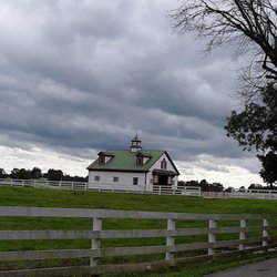 Calumet Farm