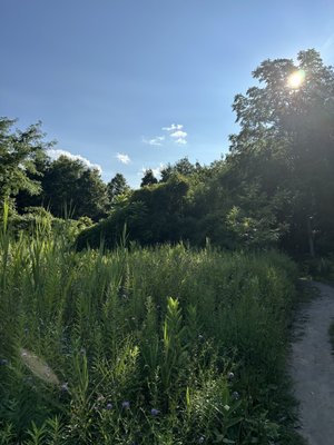 Pelham Bay Park by null