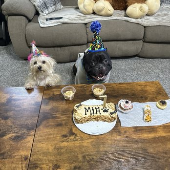 Three Dog Bakery - Peanut butter dog bone cake - Pet Stores Near Me - Apple Valley, Minnesota
