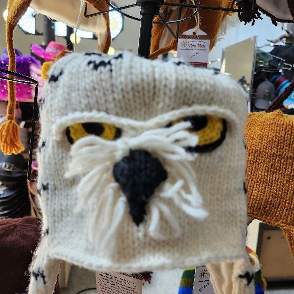 50,000 Silver Dollar - Snowy owl kiddie cap. - Landmarks & Historical Buildings Near Me - Haugan, Montana