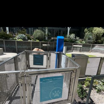 Amazon Spheres - Dog park by the spheres - Botanical Gardens Near Me - Seattle, Washington