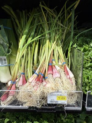 Jordan Market by null