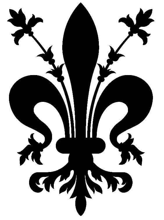Skin & Laser Institute of St. Louis Logo