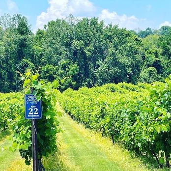 Brook Hollow Winery - Wineries Near Me - Columbia, New Jersey