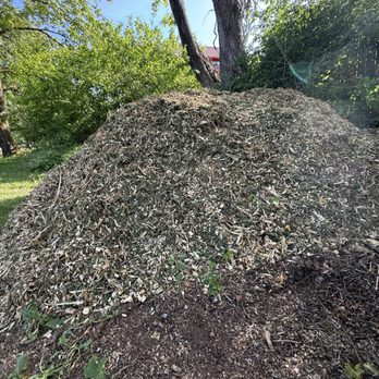 Golden Coast Tree Care - Tree Services Near Me - Yelm, Washington