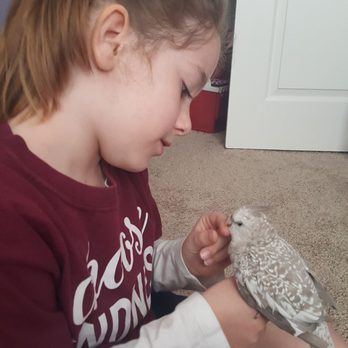 For the Birds by Robin Hawk - Such a sweetheart! Thanks For The Birds! - Pet Stores Near Me - Las Vegas, Nevada For the Birds by Robin Hawk - Such a sweetheart! Thanks For The Birds! - Pet Stores Near Me - Las Vegas, Nevada