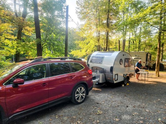 Treetopia Airstream Hotel and RV Campground by null