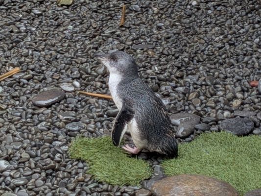 International Antarctic Centre by null