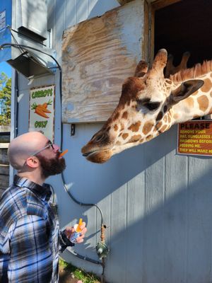 Aloha Safari Park by null