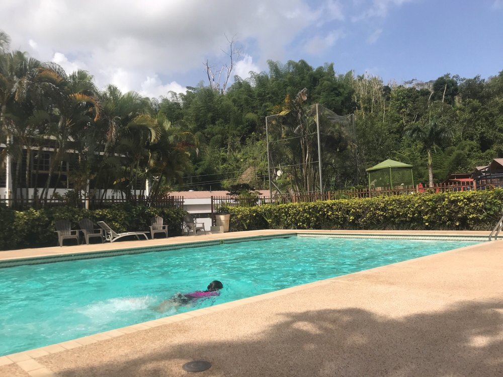 Restaurante Las Garzas