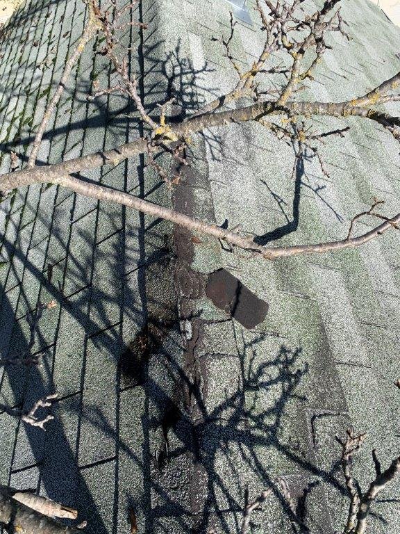 Slide of LFG Roofing