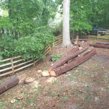 Silver Tree Service - Tree Services Near Me - Alpharetta, Georgia Silver Tree Service - Tree Services Near Me - Alpharetta, Georgia
