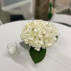 9.15 Floral Designs & Gifts