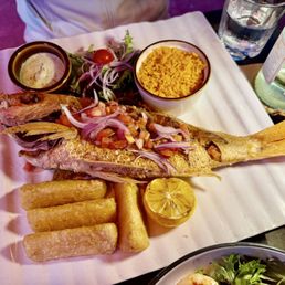 Red Snapper (Pesca Malecón)