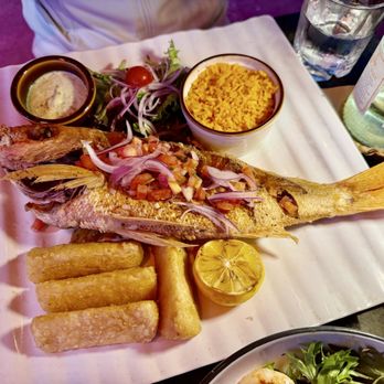La Mulata - Red Snapper (Pesca Malecón) - Cuban Near Me - Miami Beach, Florida