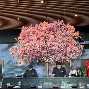 Wabi Nori - Sushi Bars Near Me - Flushing, New York Wabi Nori - Sushi Bars Near Me - Flushing, New York