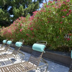 Sofi Fremont by Pinnacle Property Management
