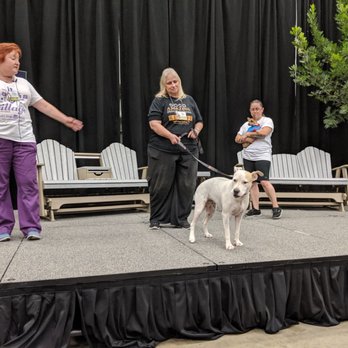 Austin Home & Garden Show - Festivals Near Me - Austin, Texas Austin Home & Garden Show - Festivals Near Me - Austin, Texas
