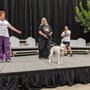 Photo of Austin Home & Garden Show