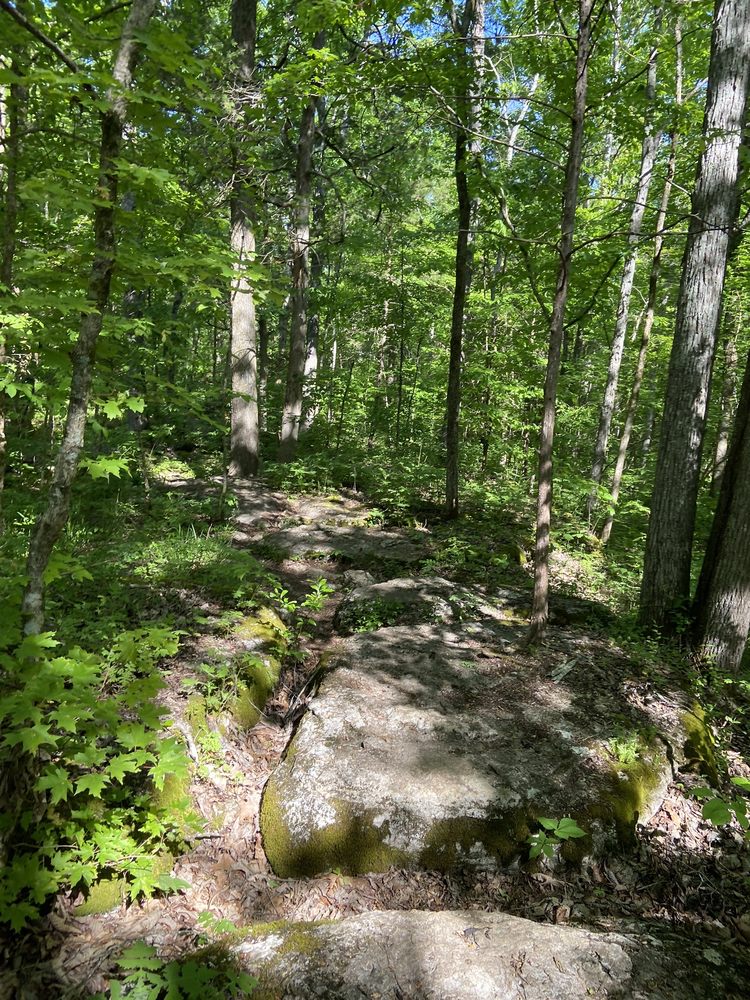 BARFIELD CRESCENT PARK Updated November 2024 57 Photos & 26 Reviews