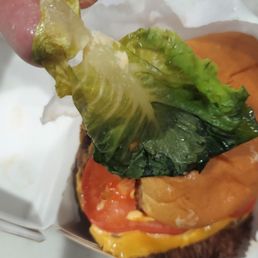 Lettuce not crunchy, just slimy and soggy Make sure to ask for no lettuce Lettuce not crunchy, just slimy and soggy Make sure to ask for no lettuce