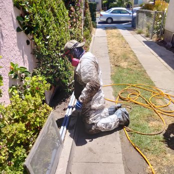 Bellbrook Pest and Termites - Pest Control Near Me