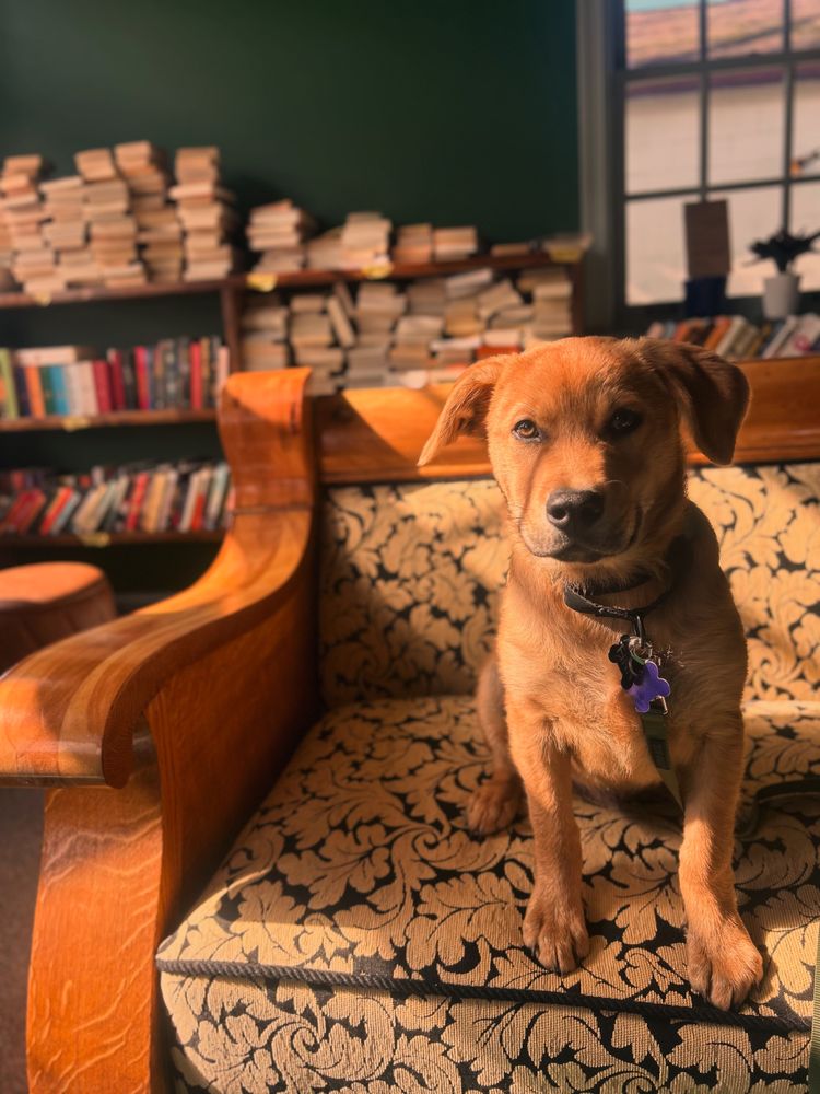 The Folded Leaf Logo