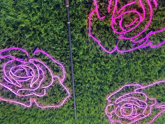 Todos Santos by null