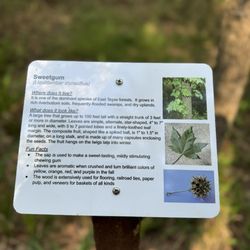George Mitchell Nature Preserve